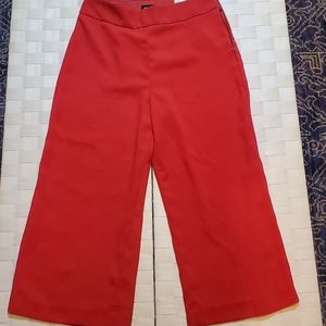 Express Cropped Culottes High Rise *New*